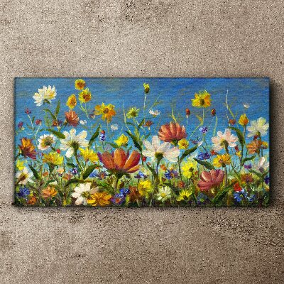 Foto auf leinwand Frühlingsblumenlandschaft