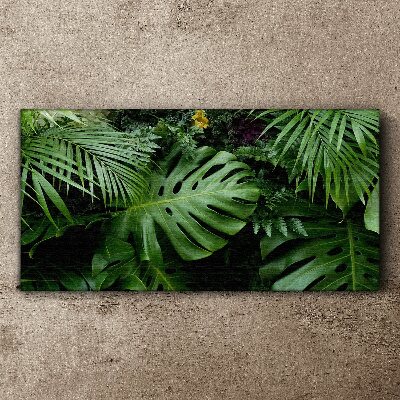 Foto auf leinwand Tropisches Grün in den Tiefen der Natur