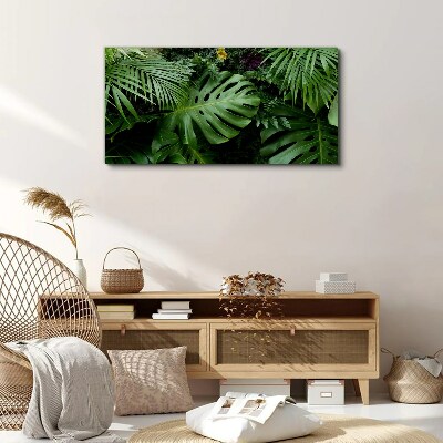 Foto auf leinwand Tropisches Grün in den Tiefen der Natur