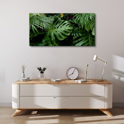 Foto auf leinwand Tropisches Grün in den Tiefen der Natur