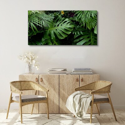 Foto auf leinwand Tropisches Grün in den Tiefen der Natur
