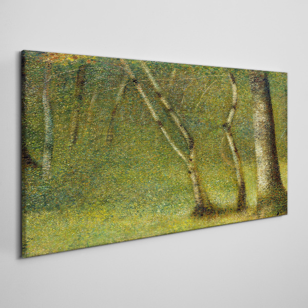 Foto leinwand Grüner Wald im Sonnenlicht