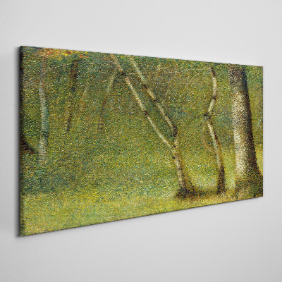 Foto leinwand Grüner Wald im Sonnenlicht