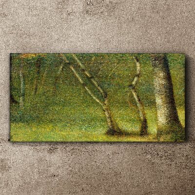 Foto leinwand Grüner Wald im Sonnenlicht