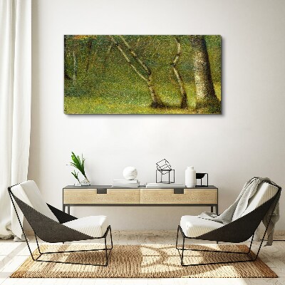 Foto leinwand Grüner Wald im Sonnenlicht