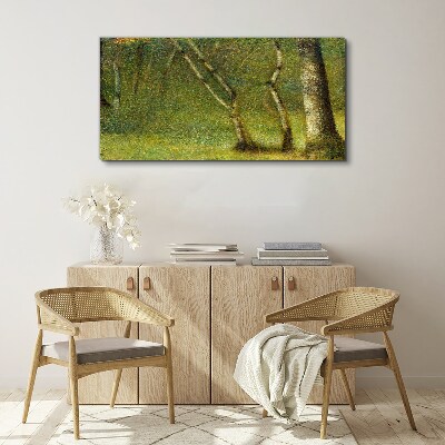 Foto leinwand Grüner Wald im Sonnenlicht
