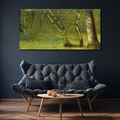 Foto leinwand Grüner Wald im Sonnenlicht