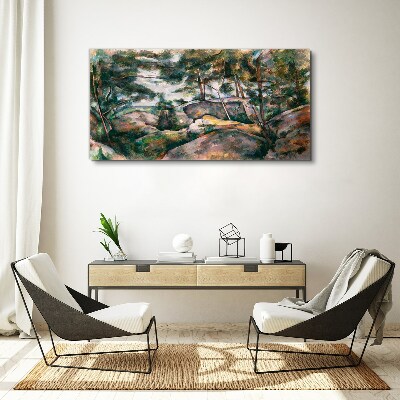 Foto auf leinwand Eine steinige Landschaft zwischen Bäumen