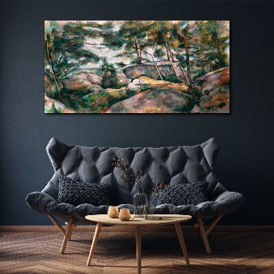 Foto auf leinwand Eine steinige Landschaft zwischen Bäumen