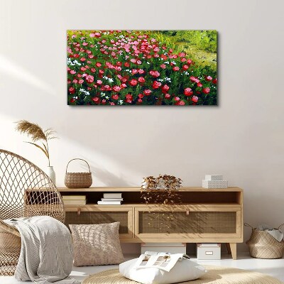 Foto auf leinwand Eine Wiese voller Mohnblumen