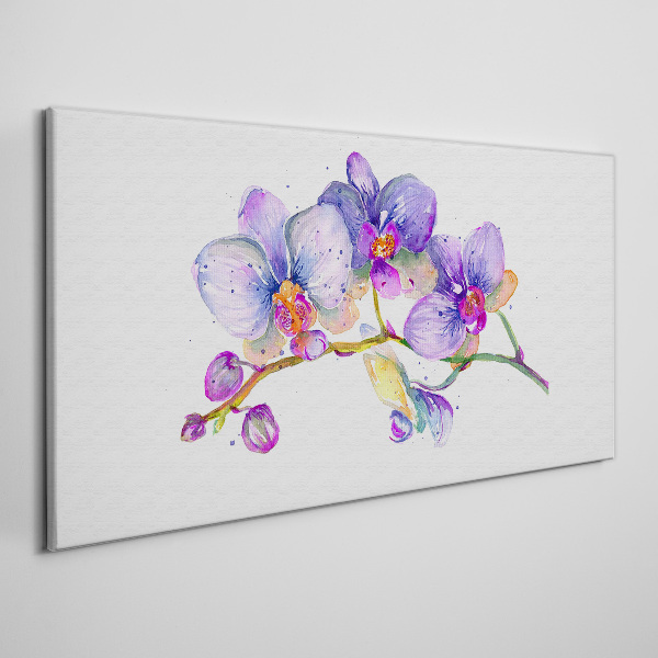 Leinwandbild Die florale Schönheit der Orchideen