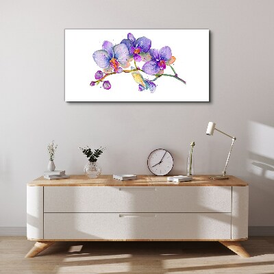 Leinwandbild Die florale Schönheit der Orchideen