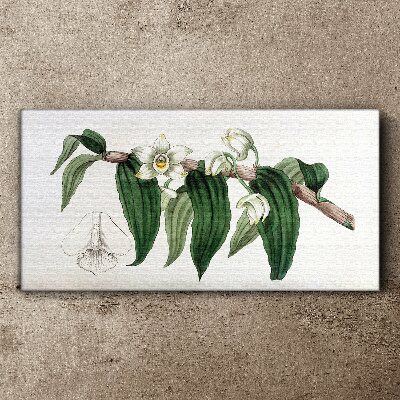 Bild auf leinwand Blumenarrangement mit Blättern