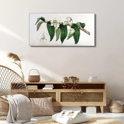 Bild auf leinwand Blumenarrangement mit Blättern