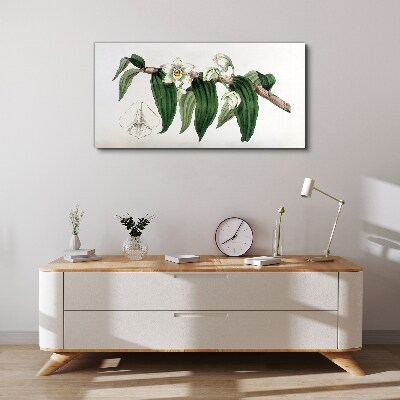 Bild auf leinwand Blumenarrangement mit Blättern