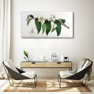 Bild auf leinwand Zeichnung einer Orchideenzweigblume