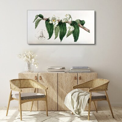 Bild auf leinwand Blumenarrangement mit Blättern
