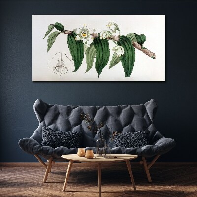 Bild auf leinwand Blumenarrangement mit Blättern
