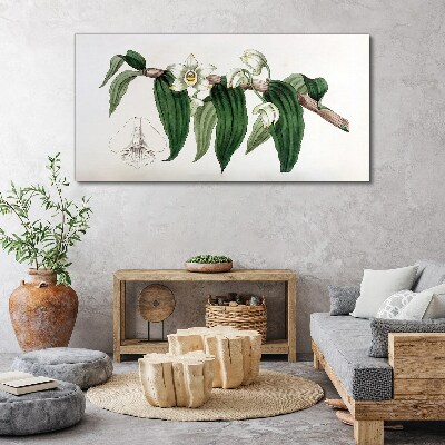 Bild auf leinwand Blumenarrangement mit Blättern