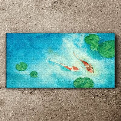 Foto auf leinwand Koi im blauen Wasser