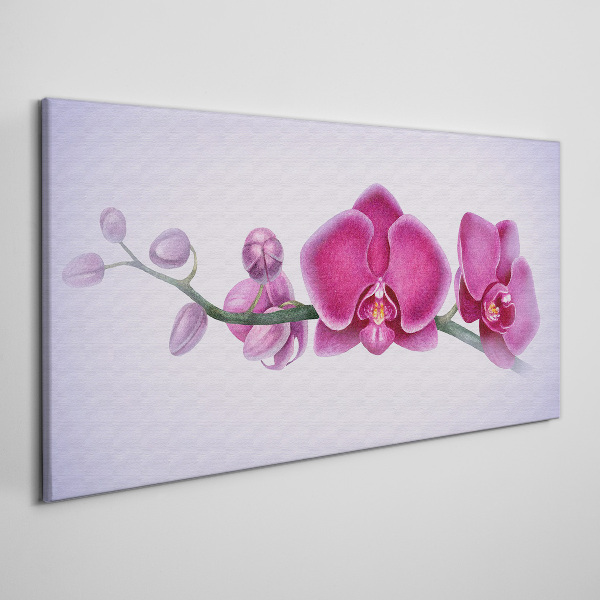 Bild auf leinwand Aquarellblumen-Orchideenzweig