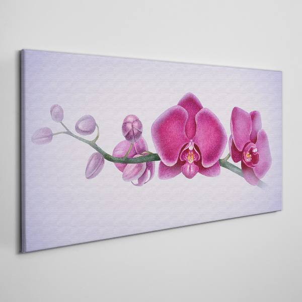 Bild auf leinwand Orchideen in zarten Rosatönen