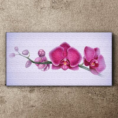 Bild auf leinwand Aquarellblumen-Orchideenzweig