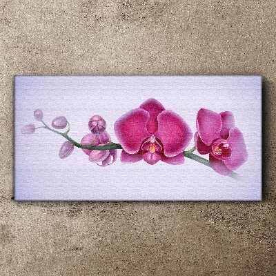 Bild auf leinwand Orchideen in zarten Rosatönen