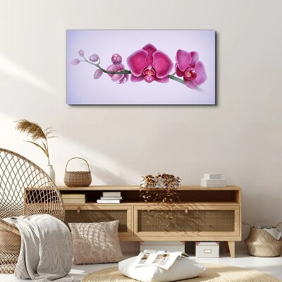 Bild auf leinwand Orchideen in zarten Rosatönen