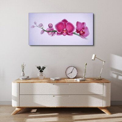 Bild auf leinwand Aquarellblumen-Orchideenzweig