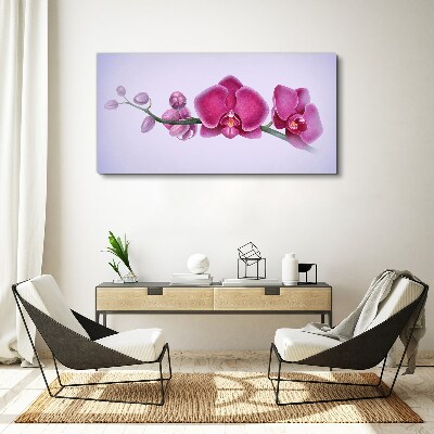 Bild auf leinwand Aquarellblumen-Orchideenzweig