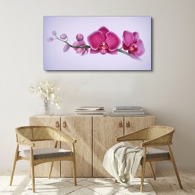 Bild auf leinwand Aquarellblumen-Orchideenzweig