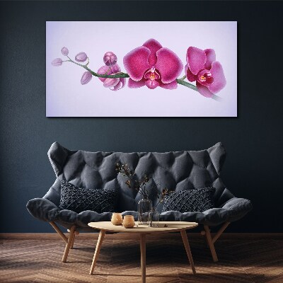 Bild auf leinwand Aquarellblumen-Orchideenzweig