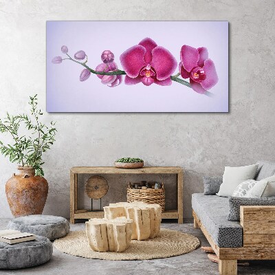 Bild auf leinwand Aquarellblumen-Orchideenzweig