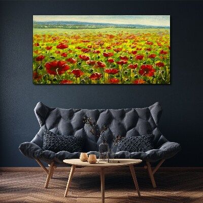 Bild auf leinwand Ein Mohnfeld in der Sonne