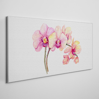Foto auf leinwand Die florale Schönheit der Orchideen