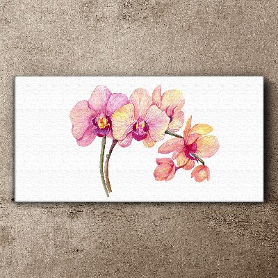 Foto auf leinwand Die florale Schönheit der Orchideen