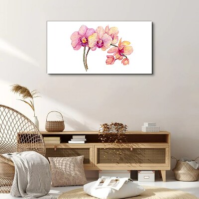 Foto auf leinwand Die florale Schönheit der Orchideen