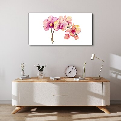 Foto auf leinwand Die florale Schönheit der Orchideen