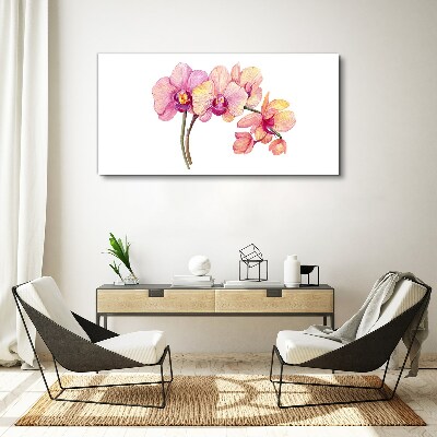 Foto auf leinwand Die florale Schönheit der Orchideen