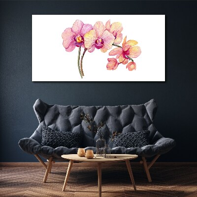 Foto auf leinwand Die florale Schönheit der Orchideen