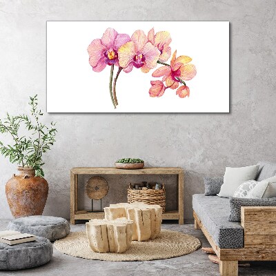 Foto auf leinwand Die florale Schönheit der Orchideen