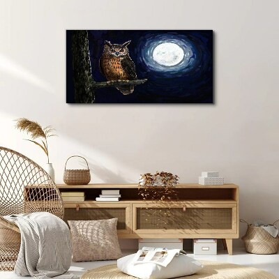 Foto auf leinwand Eule im Mondlicht