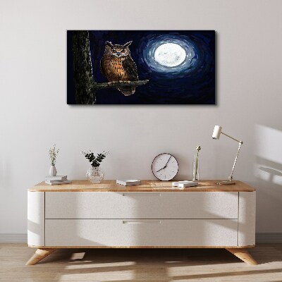 Foto auf leinwand Eule im Mondlicht