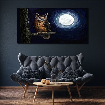 Foto auf leinwand Eule im Mondlicht