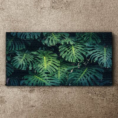 Wandbild Tropisches Grün in Monstera-Blättern