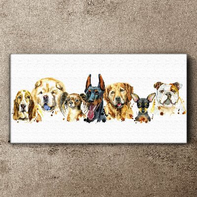Foto auf leinwand Hundefreundschaften in Farben