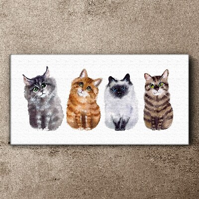 Foto auf leinwand Katzen in verschiedenen Schattierungen