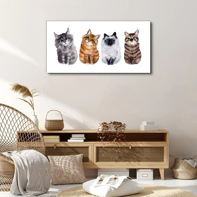 Foto auf leinwand Katzen in verschiedenen Schattierungen