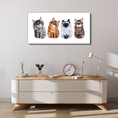 Foto auf leinwand Katzen in verschiedenen Schattierungen